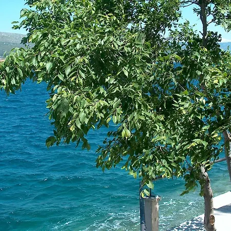 Blanka Donji Okrug (Ciovo)