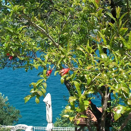 Gasthof Blanka Donji Okrug (Ciovo)