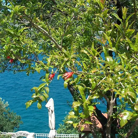 Guest house Blanka Donji Okrug (Ciovo)